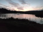 Pond at night